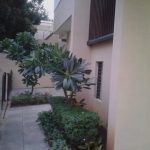 Nursing Institute